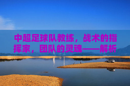 中超足球队教练,战术的指挥家,团队的灵魂——解析中超教练的角色与挑战