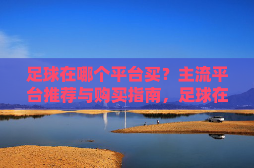 足球在哪个平台买？主流平台推荐与购买指南，足球在哪个平台买？主流平台推荐与购买指南