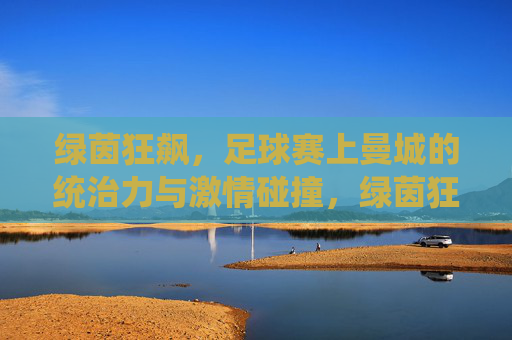 绿茵狂飙,足球赛上曼城的统治力与激情碰撞,绿茵狂飙,足球赛上曼城的统治力与激情碰撞