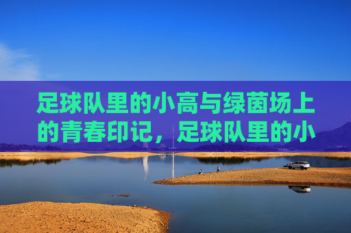 足球队里的小高与绿茵场上的青春印记，足球队里的小高与绿茵场上的青春印记
