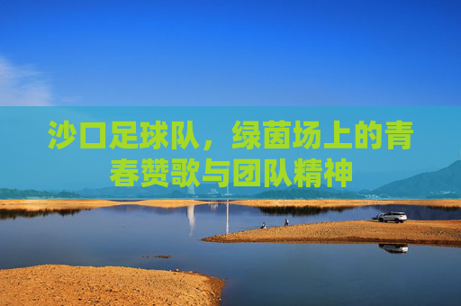 沙口足球队，绿茵场上的青春赞歌与团队精神