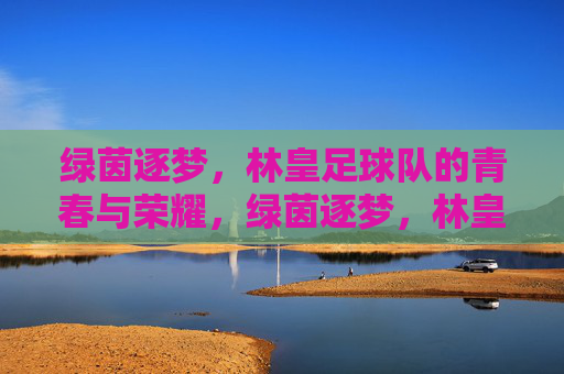 绿茵逐梦，林皇足球队的青春与荣耀，绿茵逐梦，林皇足球队的青春与荣耀