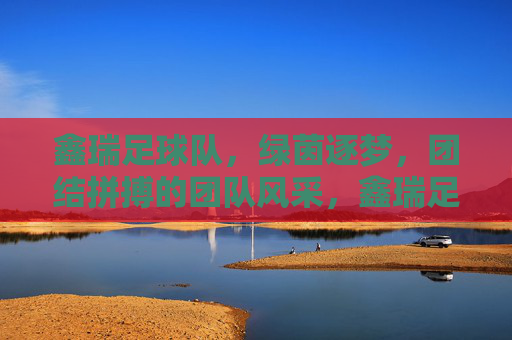 鑫瑞足球队，绿茵逐梦，团结拼搏的团队风采，鑫瑞足球队，绿茵逐梦，团结拼搏的团队风采