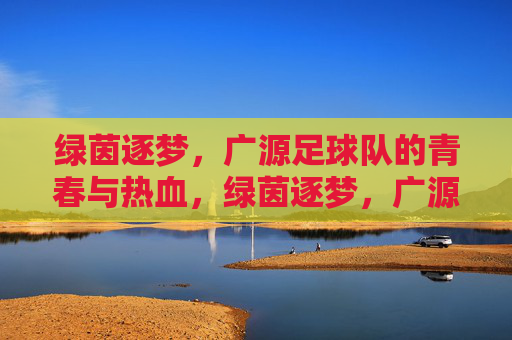 绿茵逐梦，广源足球队的青春与热血，绿茵逐梦，广源足球队的青春与热血