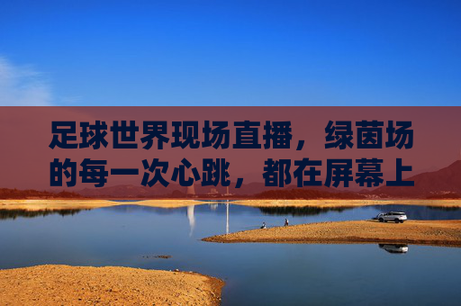 足球世界现场直播,绿茵场的每一次心跳,都在屏幕上跃动,足球现场直播,绿茵场的每一次心跳,都在屏幕上跃动