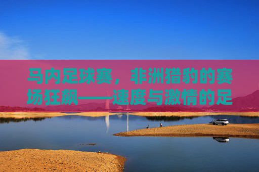 马内足球赛,非洲猎豹的赛场狂飙——速度与激情的足球盛宴,马内足球赛,非洲猎豹的赛场狂飙——速度与激情的足球盛宴