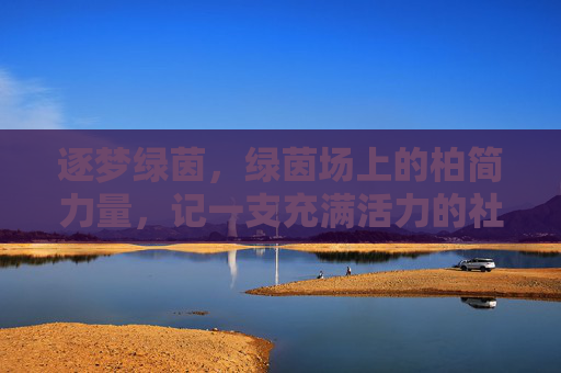 逐梦绿茵，绿茵场上的柏简力量，记一支充满活力的社区足球队，逐梦绿茵，绿茵场上的柏简力量，记一支充满活力的社区足球队