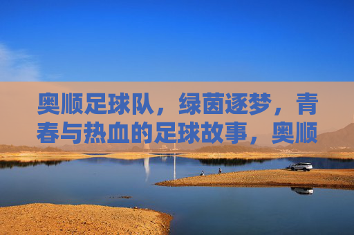 奥顺足球队，绿茵逐梦，青春与热血的足球故事，奥顺足球队，绿茵逐梦，青春与热血的足球故事