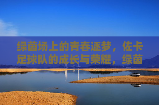 绿茵场上的青春逐梦，佐卡足球队的成长与荣耀，绿茵场上的青春逐梦，佐卡足球队的成长与荣耀