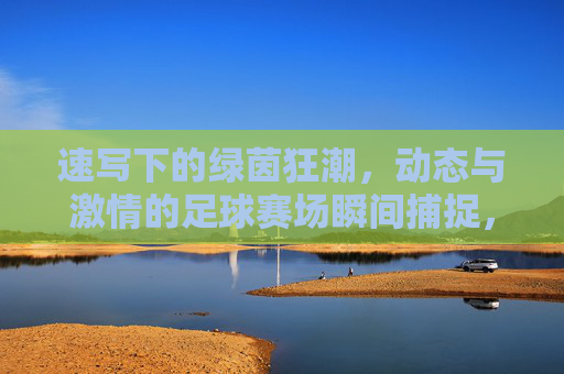 速写下的绿茵狂潮,动态与激情的足球赛场瞬间捕捉,速写下的绿茵狂潮,动态与激情的足球赛场瞬间捕捉
