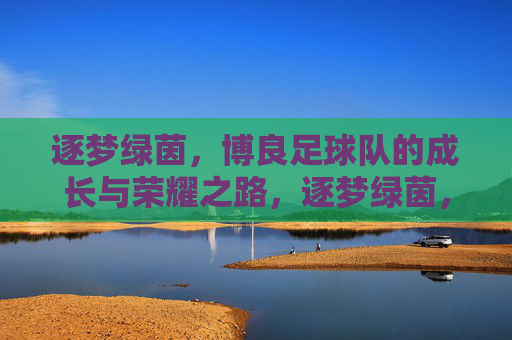 逐梦绿茵,博良足球队的成长与荣耀之路,逐梦绿茵,博良足球队的成长与荣耀之路