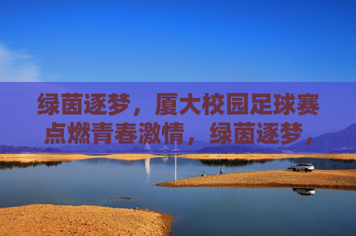 绿茵逐梦，厦大校园足球赛点燃青春激情，绿茵逐梦，厦大校园足球赛点燃青春激情