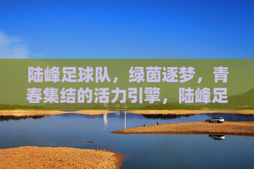 陆峰足球队，绿茵逐梦，青春集结的活力引擎，陆峰足球队，绿茵逐梦，青春集结的活力引擎