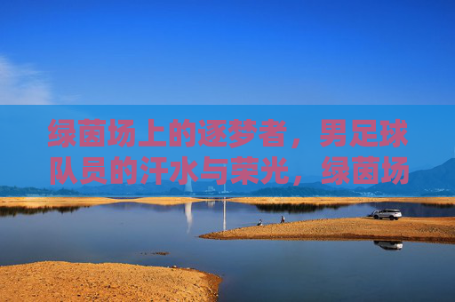 绿茵场上的逐梦者，男足球队员的汗水与荣光，绿茵场上的逐梦者，男足队员的汗水与荣光