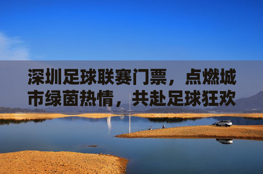 深圳足球联赛门票，点燃城市绿茵热情，共赴足球狂欢盛宴，深圳足球联赛门票，点燃城市绿茵热情，共赴足球狂欢盛宴