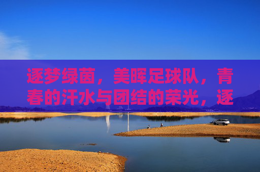 逐梦绿茵，美晖足球队，青春的汗水与团结的荣光，逐梦绿茵，美晖足球队，青春的汗水与团结的荣光