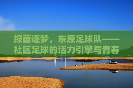 绿茵逐梦，东原足球队——社区足球的活力引擎与青春注脚，绿茵逐梦，东原足球队——社区足球的活力引擎与青春注脚