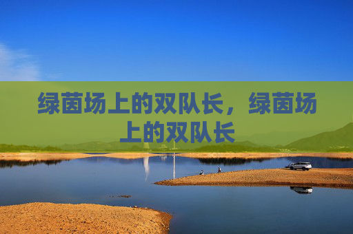 绿茵场上的双队长,绿茵场上的双队长