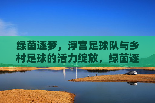 绿茵逐梦，浮宫足球队与乡村足球的活力绽放，绿茵逐梦，浮宫足球队与乡村足球的活力绽放