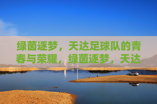 绿茵逐梦,天达足球队的青春与荣耀,绿茵逐梦,天达足球队的青春与荣耀