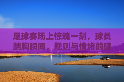 足球赛场上惊魂一刻,球员踹胸瞬间,规则与情绪的碰撞,足球赛场上惊魂一踹,规则与情绪的激烈碰撞