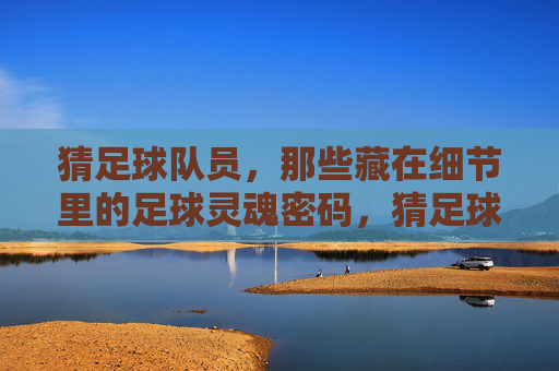 猜足球队员，那些藏在细节里的足球灵魂密码，猜足球队员，那些藏在细节里的足球灵魂密码