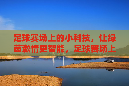 足球赛场上的小科技,让绿茵激情更智能,足球赛场上的小科技,让绿茵激情更智能