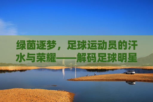 绿茵逐梦，足球运动员的汗水与荣耀——解码足球明星的奋斗之路，绿茵逐梦，足球运动员的汗水与荣耀——解码足球明星的奋斗之路