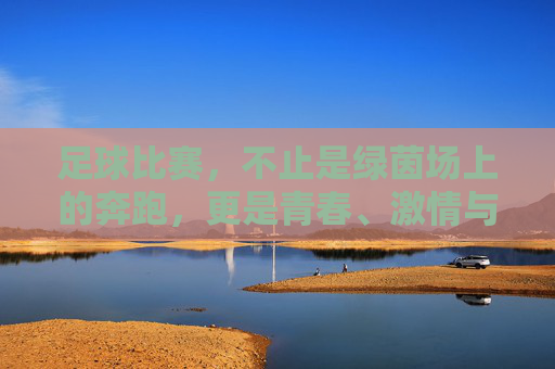 足球比赛,不止是绿茵场上的奔跑,更是青春、激情与生命的交响,足球,绿茵场上的奔跑,青春激情与生命的交响