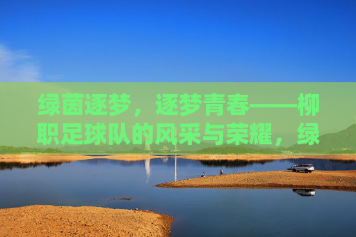 绿茵逐梦,逐梦青春——柳职足球队的风采与荣耀,绿茵逐梦,逐梦青春——柳职足球队的风采与荣耀