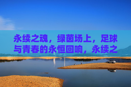 永续之魂,绿茵场上,足球与青春的永恒回响,永续之魂,绿茵场上,足球与青春的永恒回响