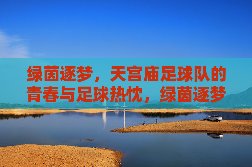 绿茵逐梦,天宫庙足球队的青春与足球热忱,绿茵逐梦,天宫庙足球队的青春与足球热忱