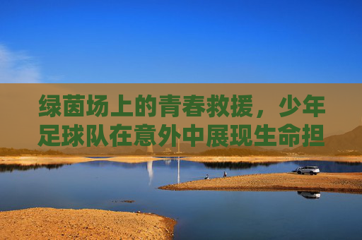 绿茵场上的青春救援，少年足球队在意外中展现生命担当，绿茵场上的青春救援，少年足球队在意外中展现生命担当