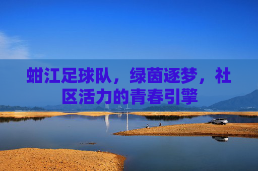 蚶江足球队，绿茵逐梦，社区活力的青春引擎