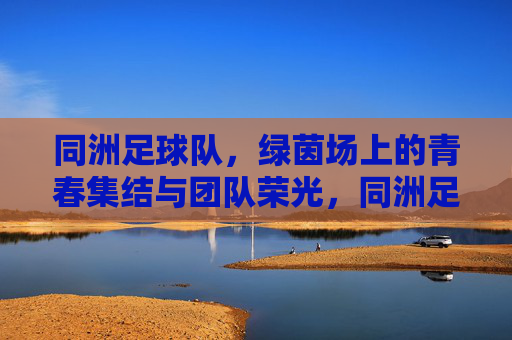 同洲足球队,绿茵场上的青春集结与团队荣光,同洲足球队,绿茵场上的青春集结与团队荣光