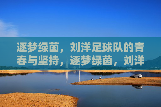 逐梦绿茵,刘洋足球队的青春与坚持,逐梦绿茵,刘洋足球队的青春与坚持
