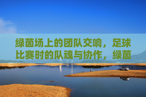 绿茵场上的团队交响，足球比赛时的队魂与协作，绿茵场上的团队交响，足球比赛中的队魂与协作