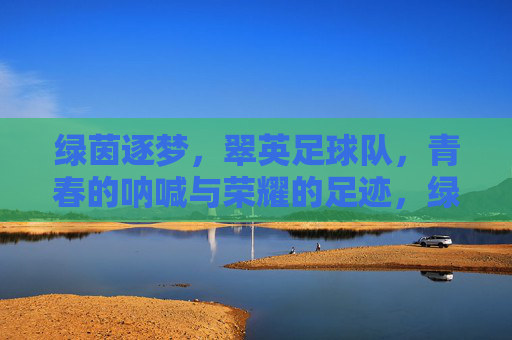 绿茵逐梦，翠英足球队，青春的呐喊与荣耀的足迹，绿茵逐梦，翠英足球队青春的呐喊与荣耀足迹