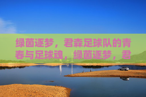 绿茵逐梦，君森足球队的青春与足球魂，绿茵逐梦，君森足球队的青春与足球魂