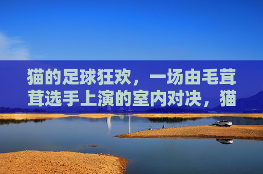 猫的足球狂欢,一场由毛茸茸选手上演的室内对决,猫的足球狂欢,一场由毛茸茸选手上演的室内对决