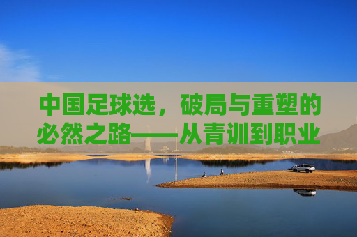 中国足球选，破局与重塑的必然之路——从青训到职业生态的深度探索，中国足球破局与重塑的必然之路，从青训到职业生态的深度探索