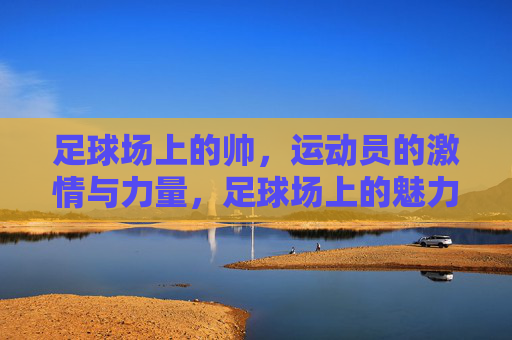 足球场上的帅，运动员的激情与力量，足球场上的魅力，运动员的激情与力量