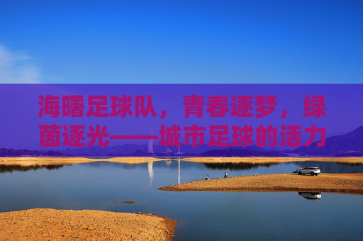 海曙足球队,青春逐梦,绿茵逐光——城市足球的活力缩影,海曙足球队,青春逐梦,绿茵逐光——城市足球的活力缩影