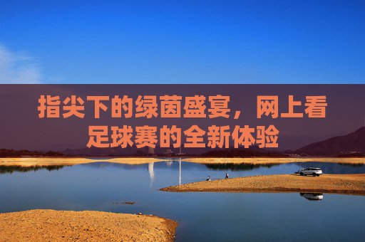 指尖下的绿茵盛宴,网上看足球赛的全新体验
