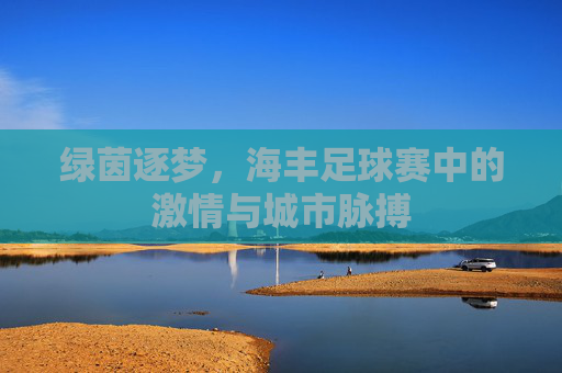 绿茵逐梦,海丰足球赛中的激情与城市脉搏