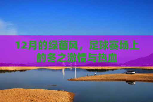 12月的绿茵风，足球赛场上的冬之激情与热血