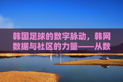 韩国足球的数字脉动,韩网数据与社区的力量——从数据看韩网如何塑造足坛生态