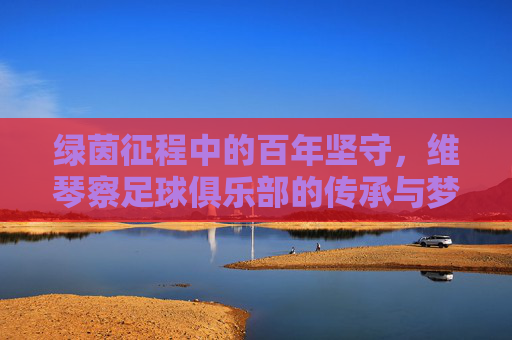 绿茵征程中的百年坚守，维琴察足球俱乐部的传承与梦想