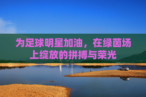 为足球明星加油，在绿茵场上绽放的拼搏与荣光