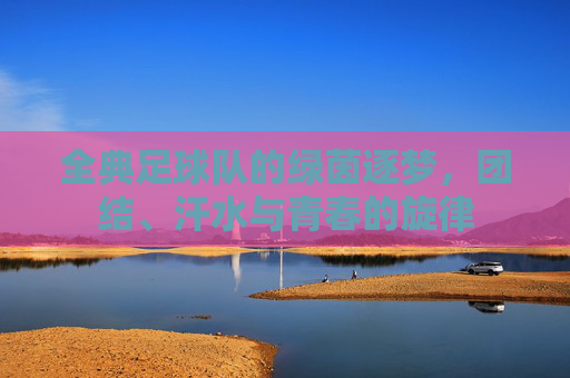 全典足球队的绿茵逐梦，团结、汗水与青春的旋律
